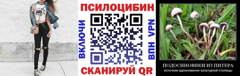 Галлюциногенные грибы мухоморы  ОМГ ОМГ зеркало  Дивногорск 